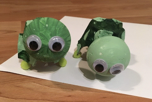 Egg Carton Turtle Craft