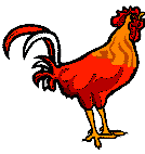 chicken coloring page