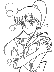 sailor moon poster