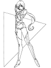 sailor moon poster