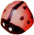 egg carton ladybug
