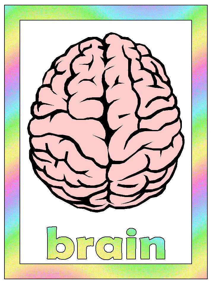 brain coloring page