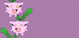 hopip web border
