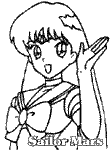 sailor moon poster