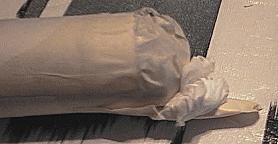 dolphin craft