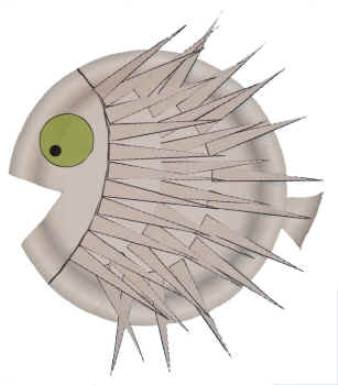 porcupine craft