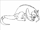 mexico coloring page