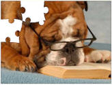 dog jigsaw puzzles