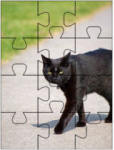 jigsaw puzzles