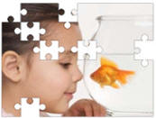 fish jigsaw puzzles