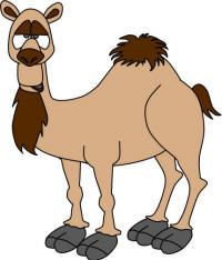 camel craft