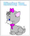 cat printables