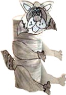 raccoon craft