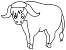 animal coloring pages