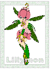 digimon coloring pages (posters)