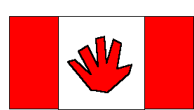 Handprint Flag