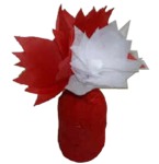 canada craft