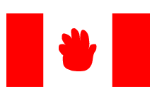 Handprint Flag
