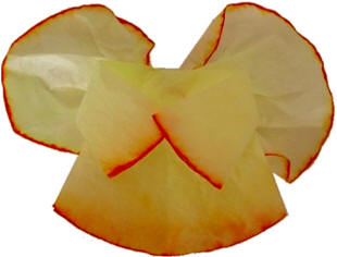 coffee filter angel