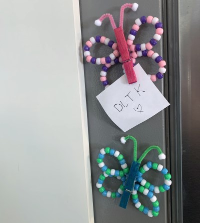 butterfly magnets