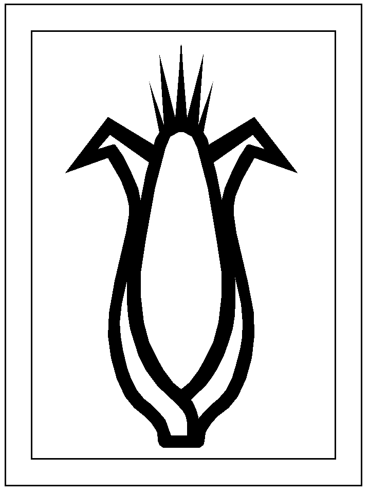 templates