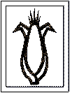kwanzaa coloring page