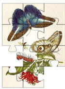jigsaw puzzles