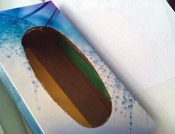 Start with a cardboard tissue box.