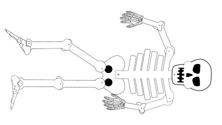 Skeleton
