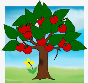 cherry tree