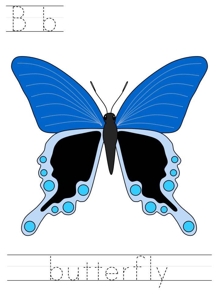 Printable print practice worksheet - Bb butterfly