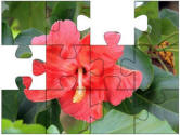 jigsaw puzzles