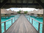 Our Dream Trip