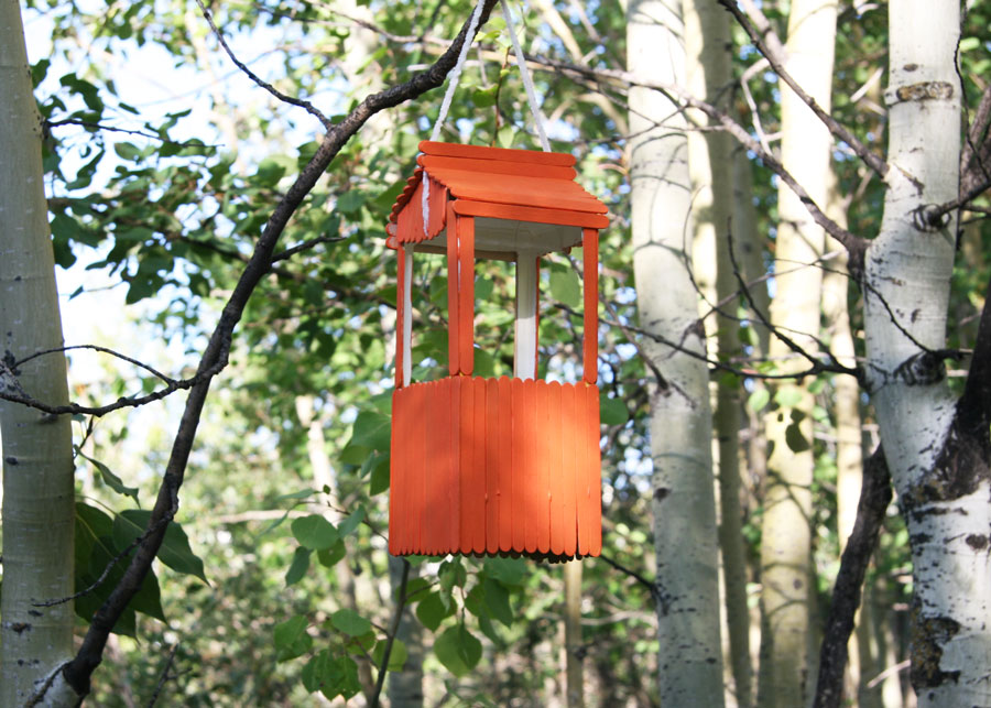 Popsicle Stick Bird Feeder Craft