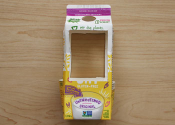 popsicle stick bird feeder craft