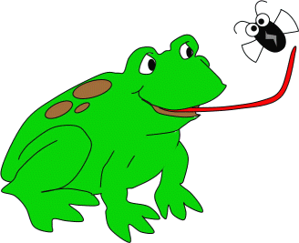 frog riddle