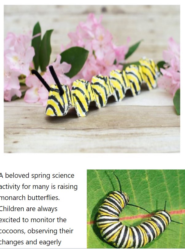 Egg Carton Caterpillar Crafts