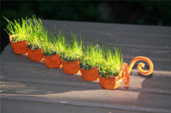 Grass Seed Caterpillar Craft