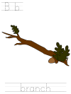 arbor day, parts of a tree, tracer pages