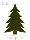 arbor day, parts of a tree, tracer pages