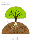 arbor day, parts of a tree, tracer pages
