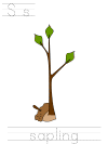 arbor day, parts of a tree, tracer pages