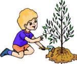 about arbor day