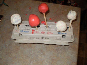 Cake Pops:  Let 'dry' standing up.
