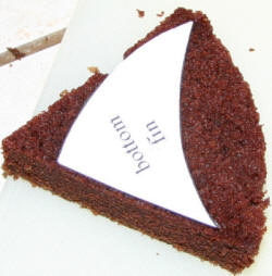 bottom fin