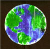 stained glass earth day craft