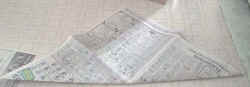 wing