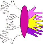 butterfly craft