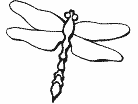 animal coloring page