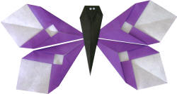 origami butterfly